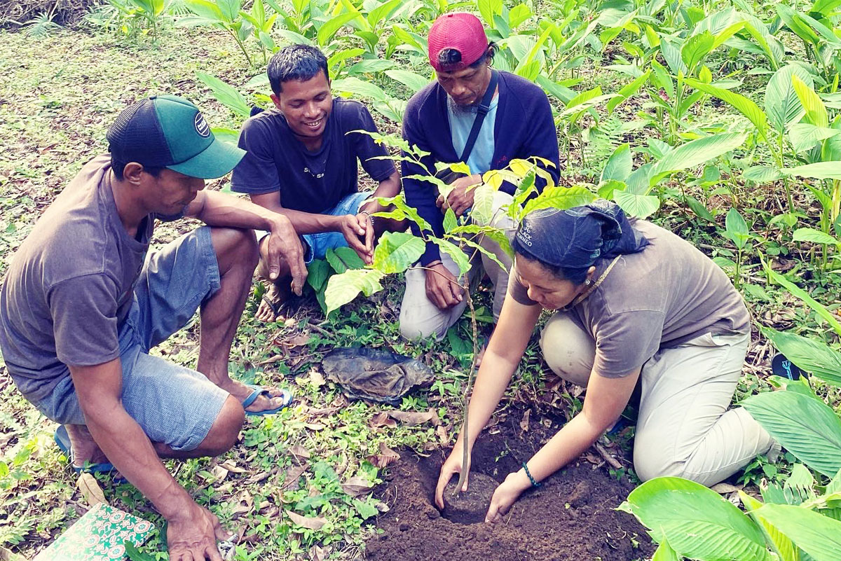 Kele: Menelusuri Hutan Kenari Purba di Banda Neira